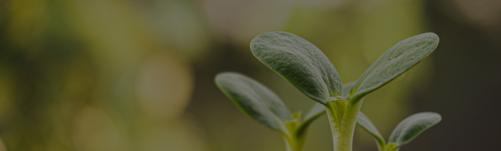 User banner image